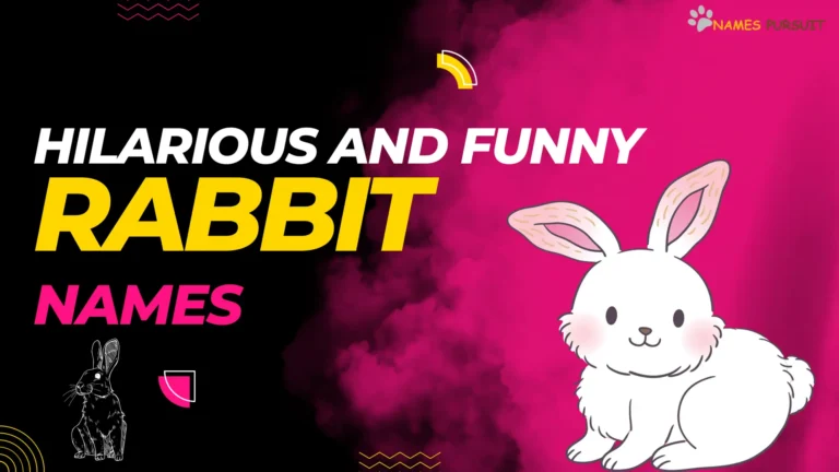 Hilarious and Funny Rabbit Names [200+ Comical Ideas]