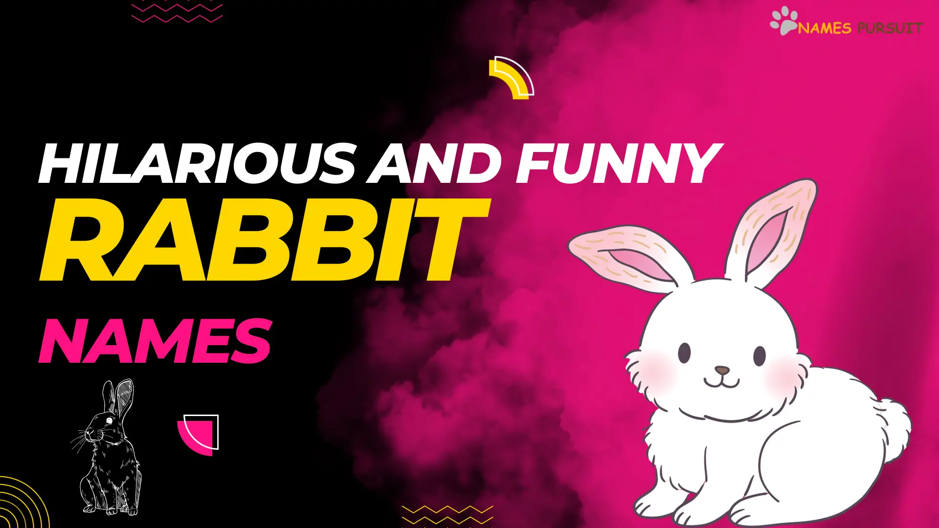 Hilarious and Funny Rabbit Names