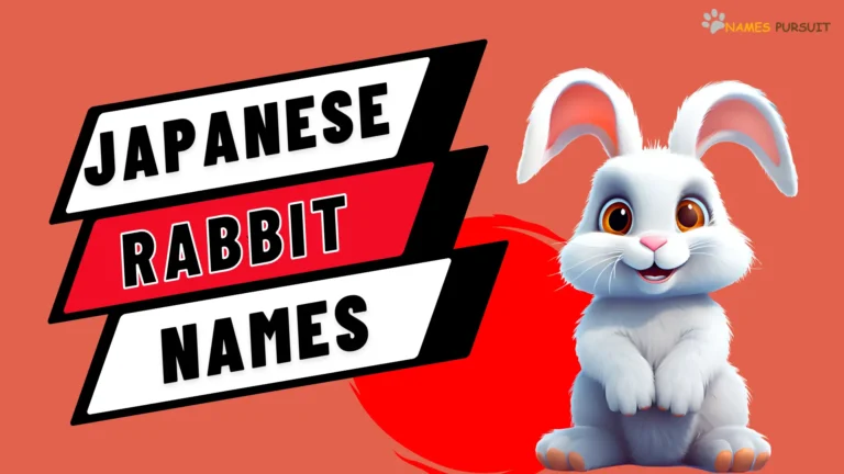 Japanese Rabbit Names [50 Ideas for Your Furry Pet]
