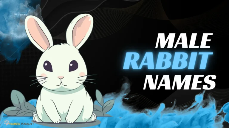 Male Rabbit Names [300+ Boy Bunny Naming Ideas]