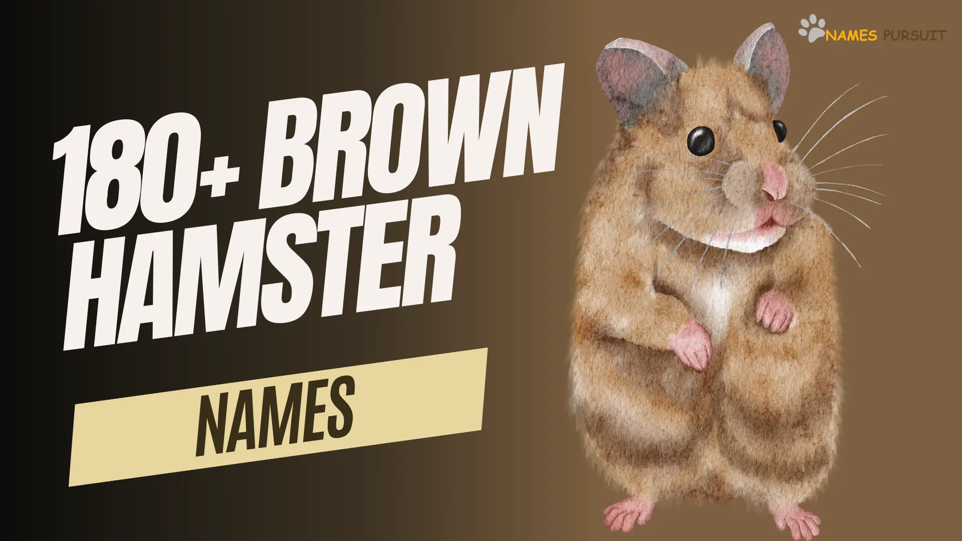 180+ Brown Hamster Names