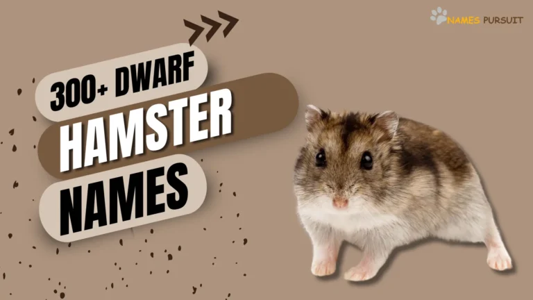 300+ Dwarf Hamster Names [Fun Naming Guide for Pet]