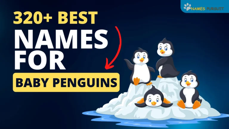 320+ Best Names for Baby Penguins