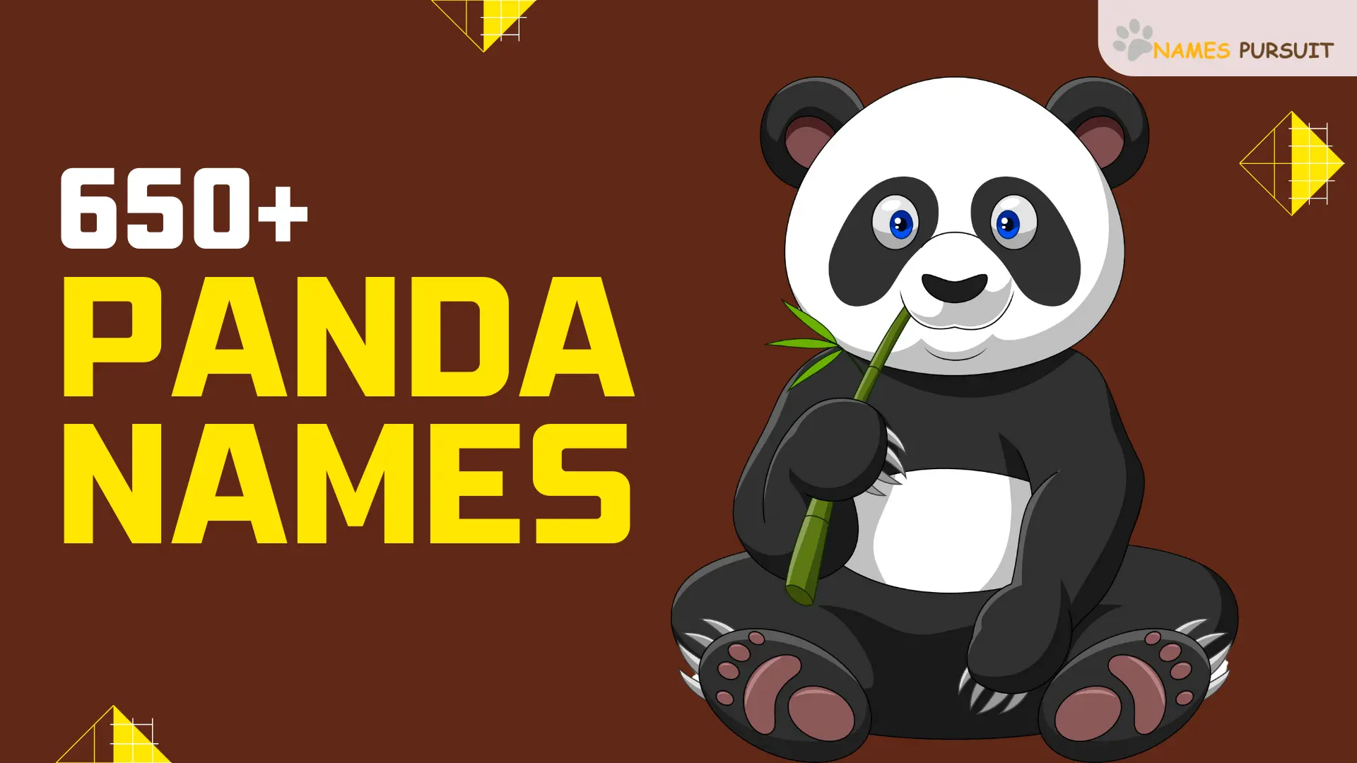 650+ Panda Names