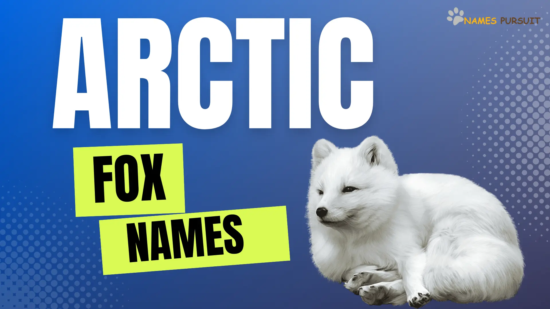 Arctic Fox Names