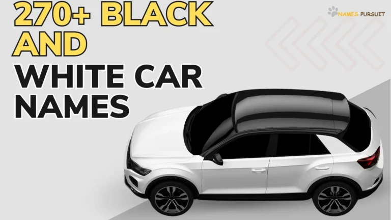 Black and White Car Names [270+ Ideas]