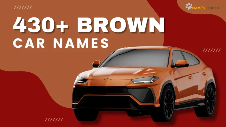400+ Brown Car Names [Popular, Funny, and Bold]