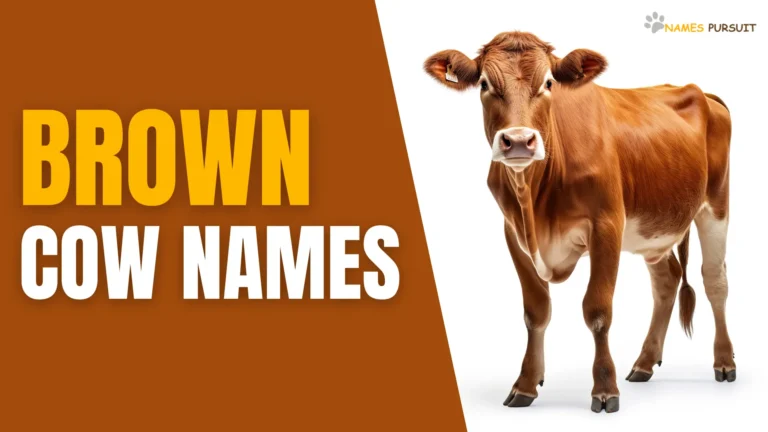 Brown Cow Names [220+ Ideas for Your Bovine]