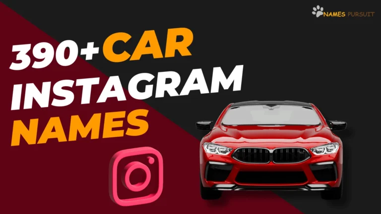 Car Instagram Names [390+ Trending Options]