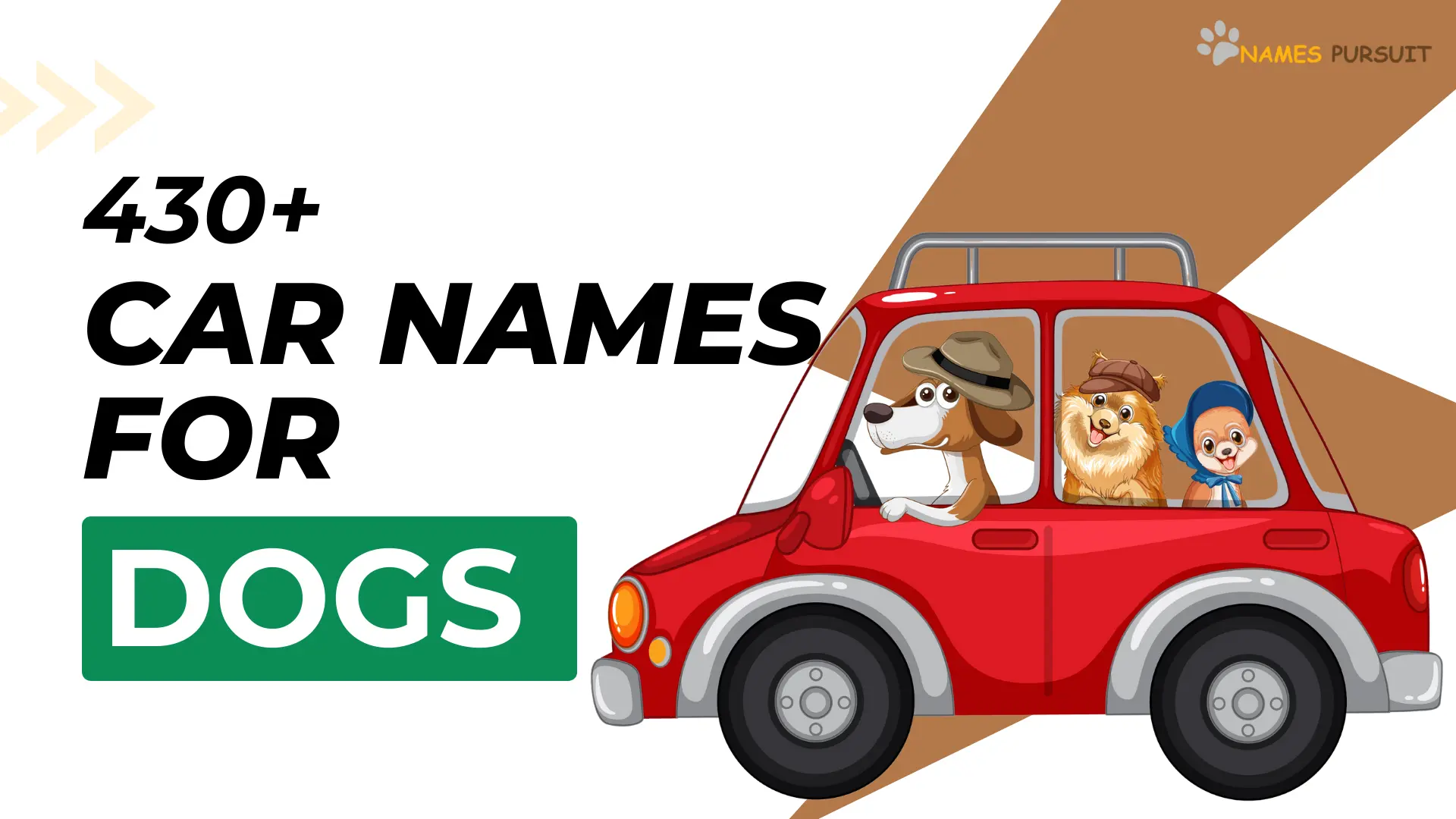 Car Names for Dogs