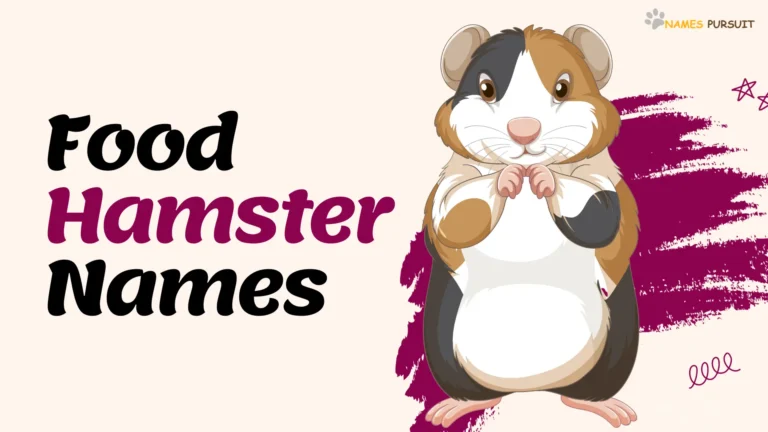 Food Hamster Names [200+ Creative Naming Ideas]