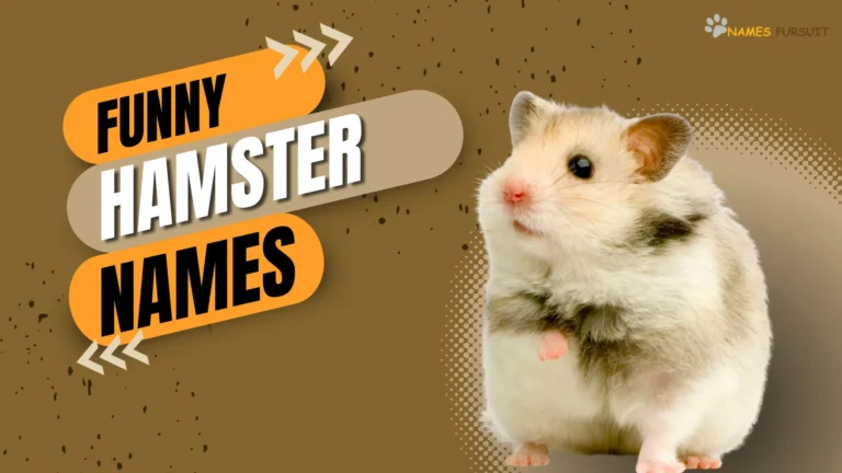 Funny Hamster Names [300+ Hilarious Naming Ideas]