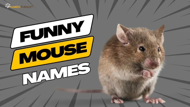 Funny Mouse Names [400+ Hilarious Ideas]
