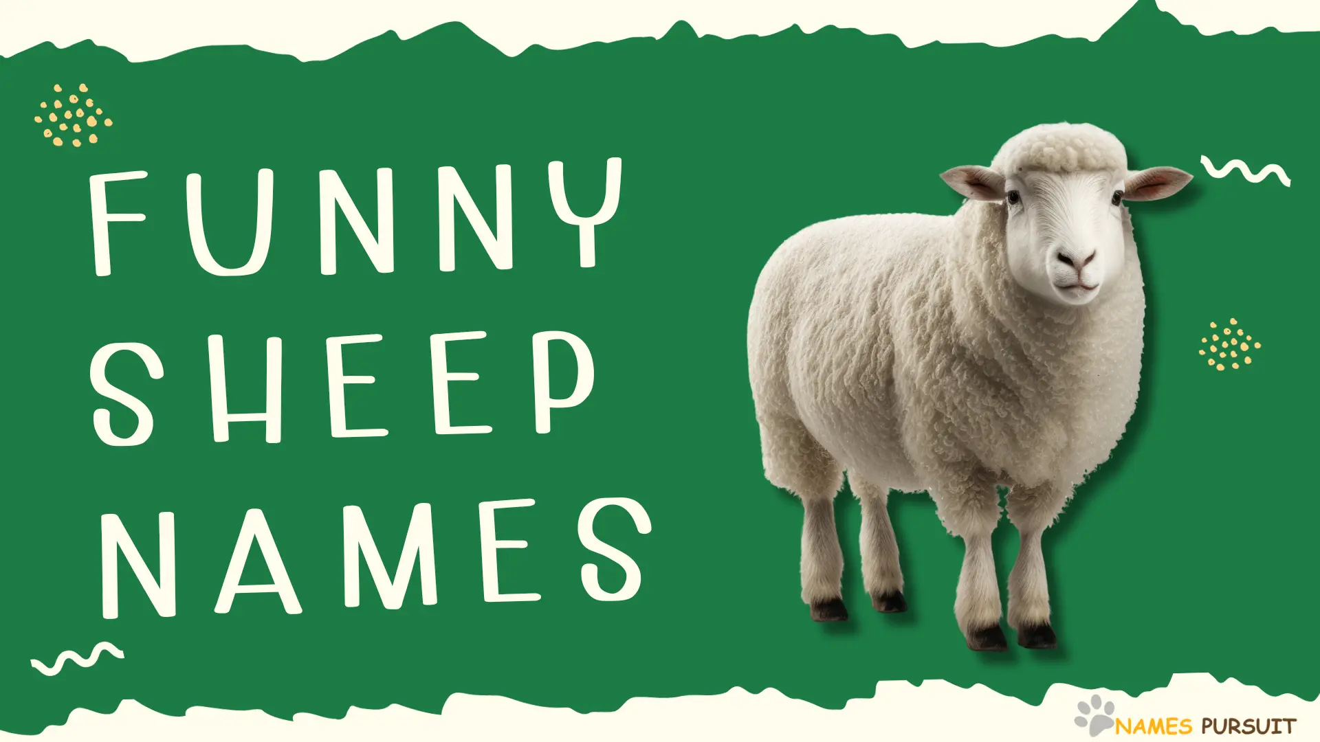 Funny Sheep Names
