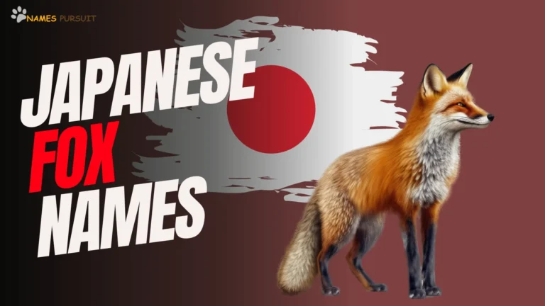 Japanese Fox Names [200+ Unique Ideas for Kitsune]