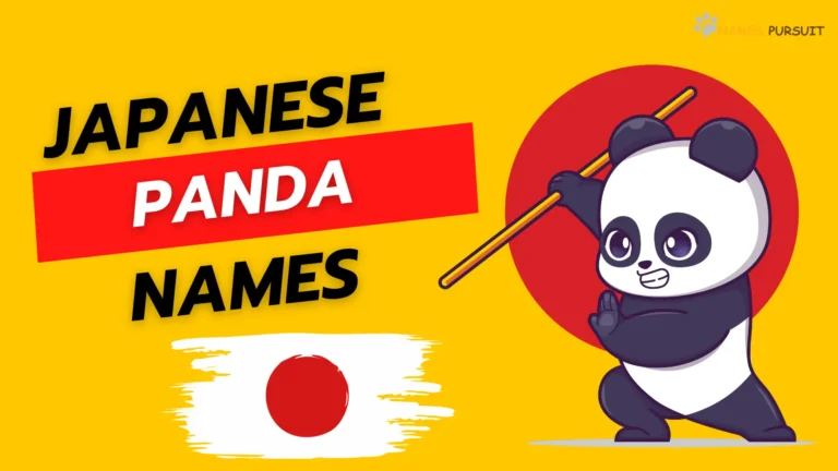 Japanese Panda Names [200+ Adorable Ideas]