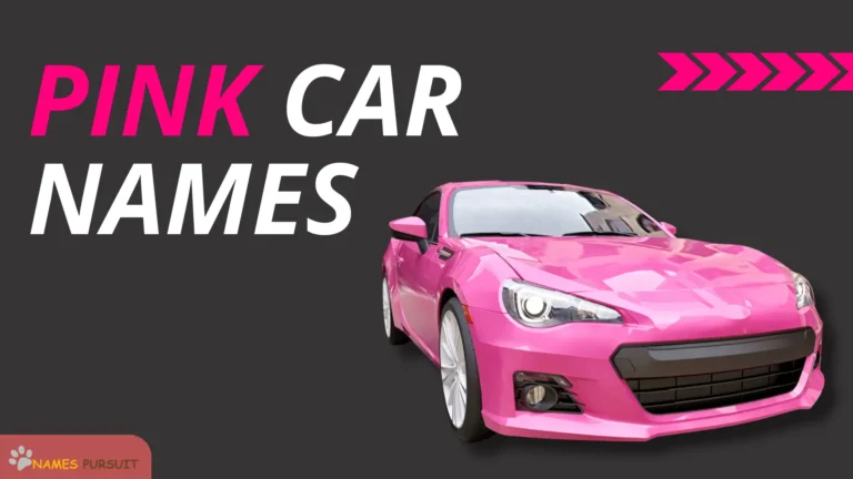 Pink Car Names [300+ Unique Naming Ideas]