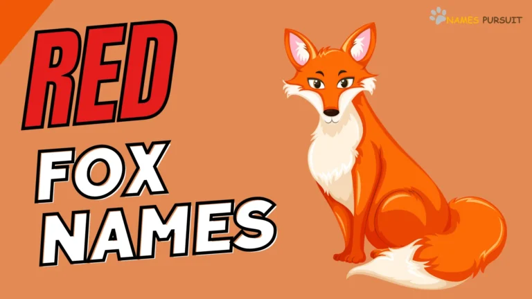 320+ Red Fox Names [Cute, Funny, Badass, & More]