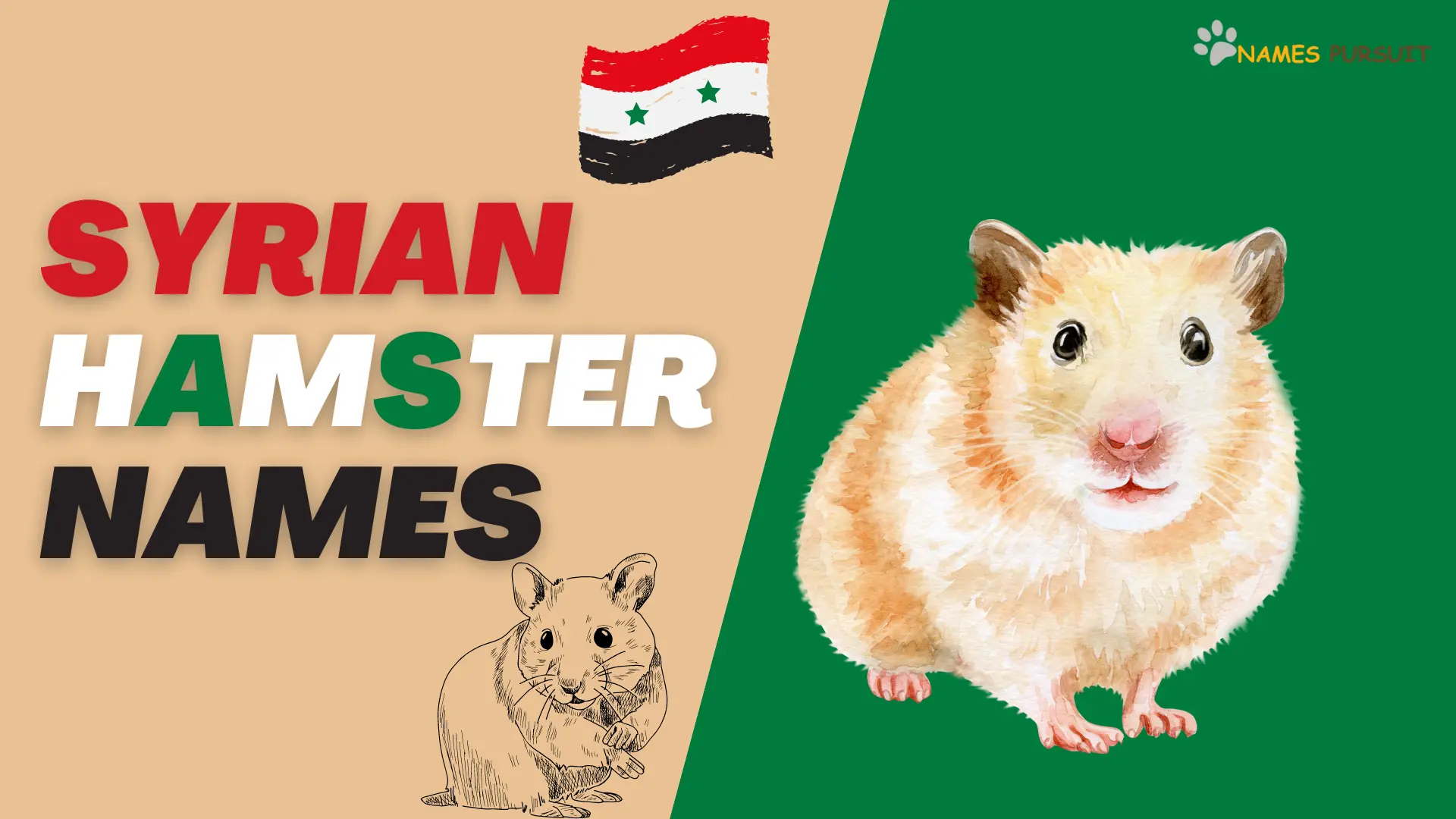 Syrian Hamster Names