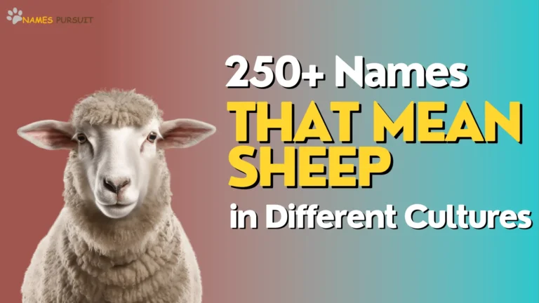 250+ Names That Mean Sheep in Different Cultures