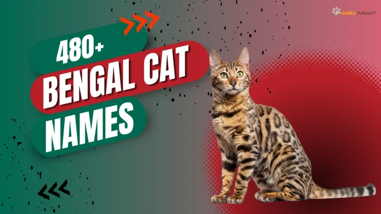 480+ Bengal Cat Names For Your Feline Friends