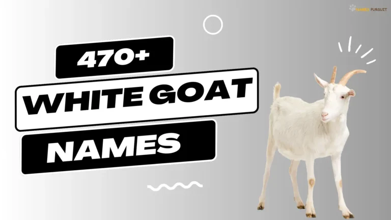 470+ White Goat Names (Cute & Unique Ideas)