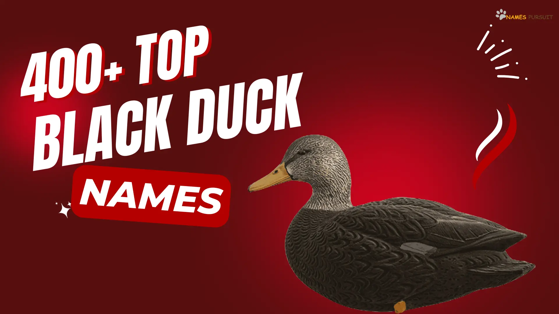 Black Duck Names