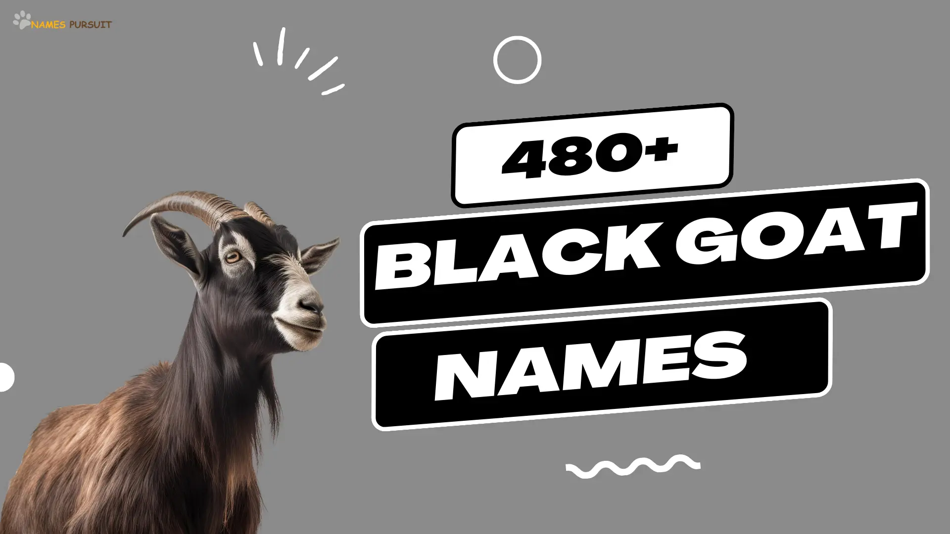 Black Goat Names