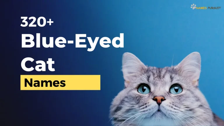 320+ Blue-Eyed Cat Names [Unique Naming Guide]