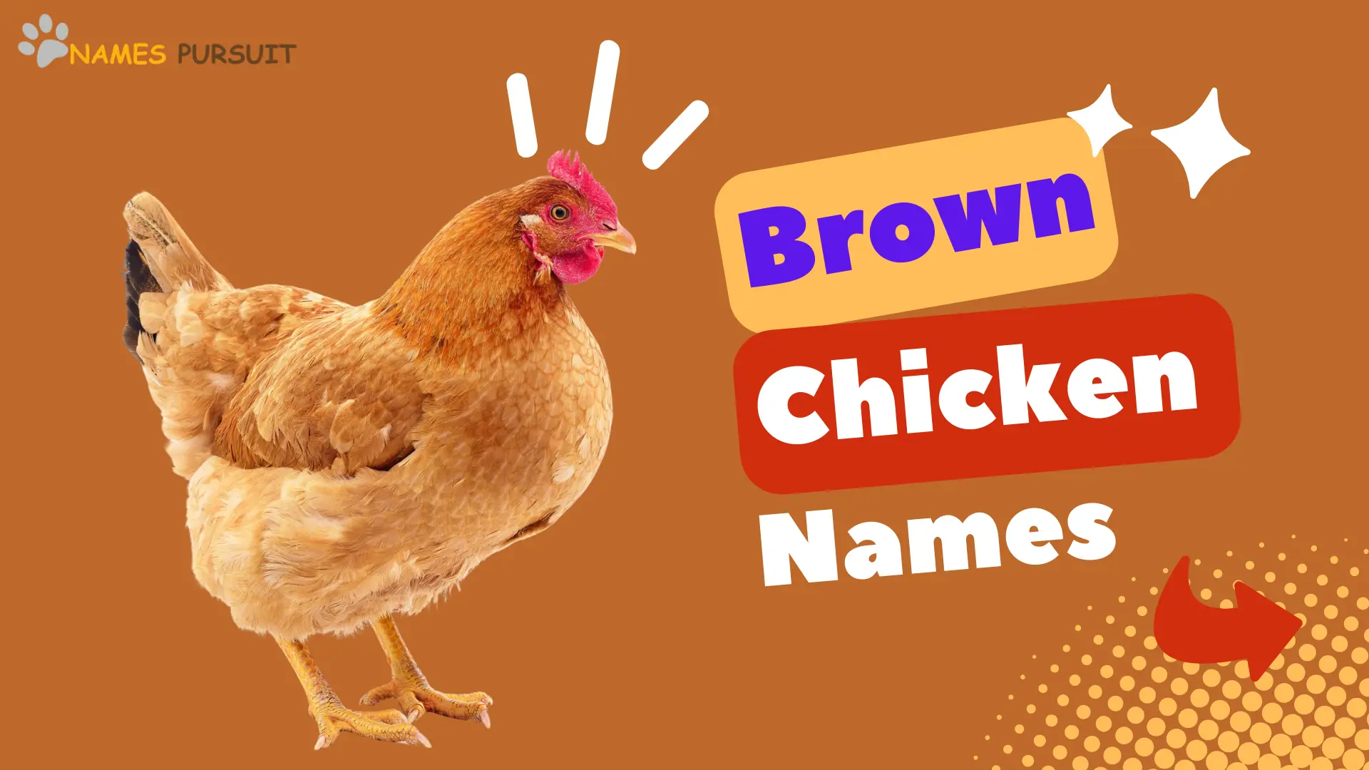 Brown Chicken Names