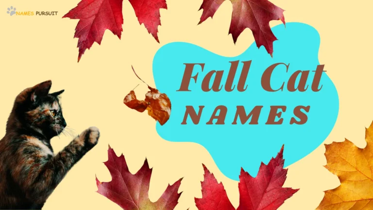 420+ Fall Cat Names [Fun Autumn-Inspired Ideas]