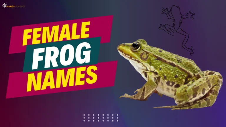 Female Frog Names [240+ Ideas for Your Girl Pet]