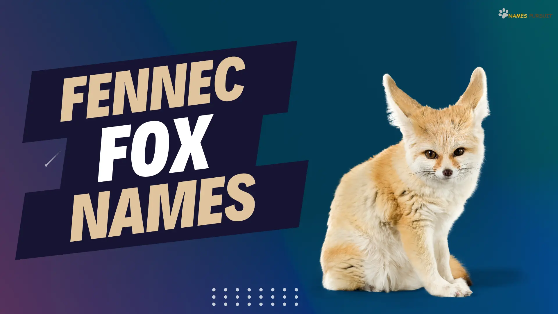 Fennec Fox Names