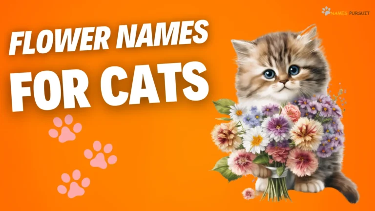 320+ Flower Names for Cats [Unique Naming Ideas]