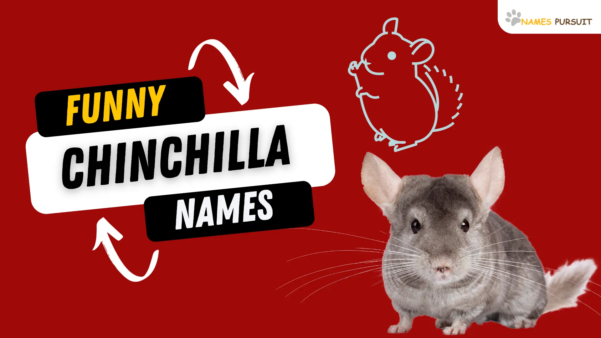 Funny Chinchilla Names
