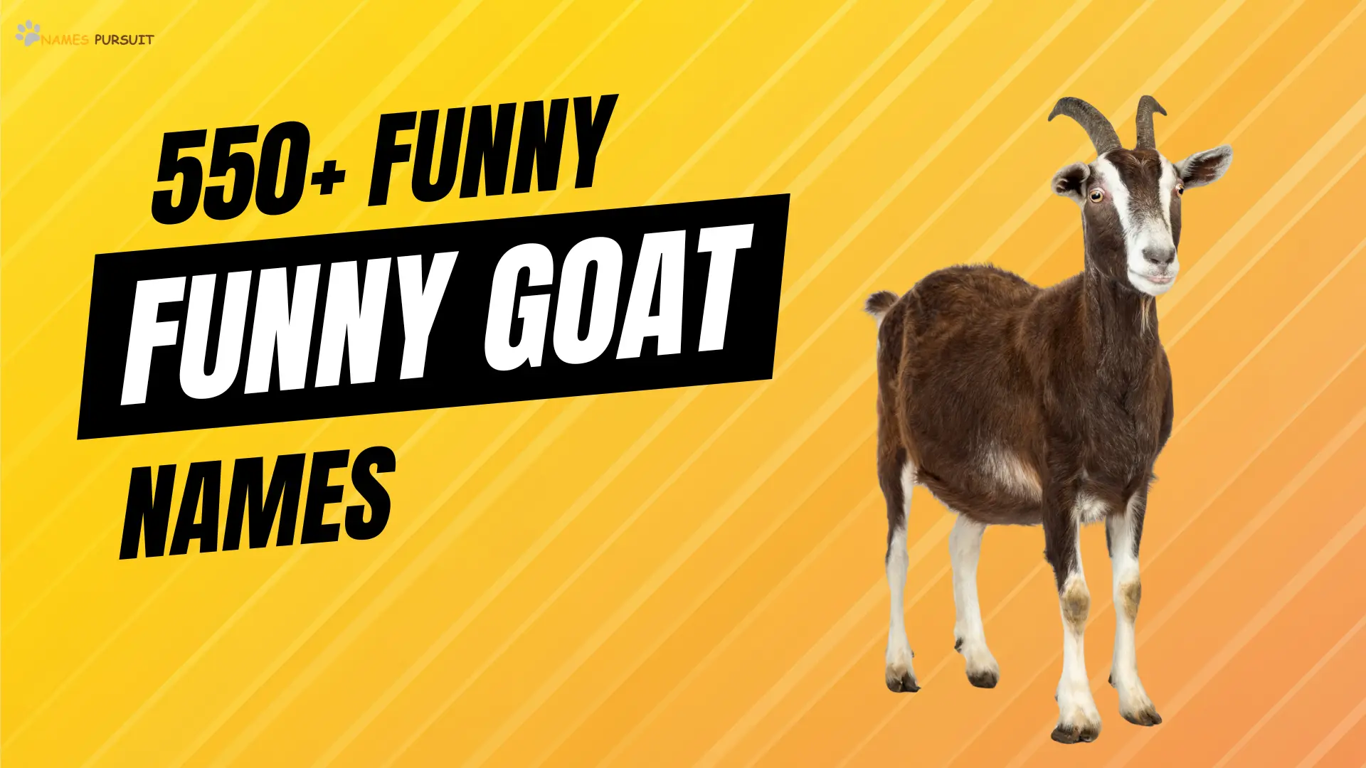 Funny Goat Names