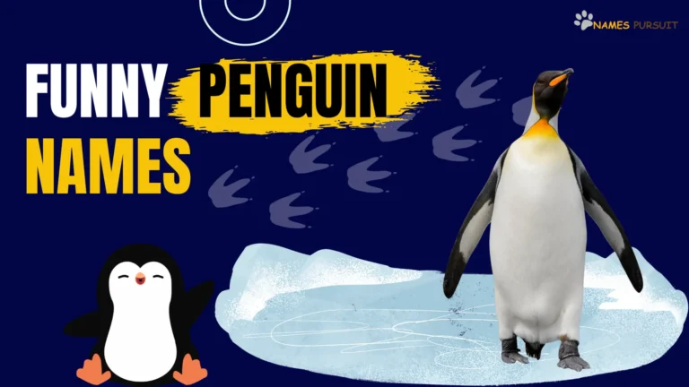 390+ Funny Penguin Names [Whimsical Naming Guide]