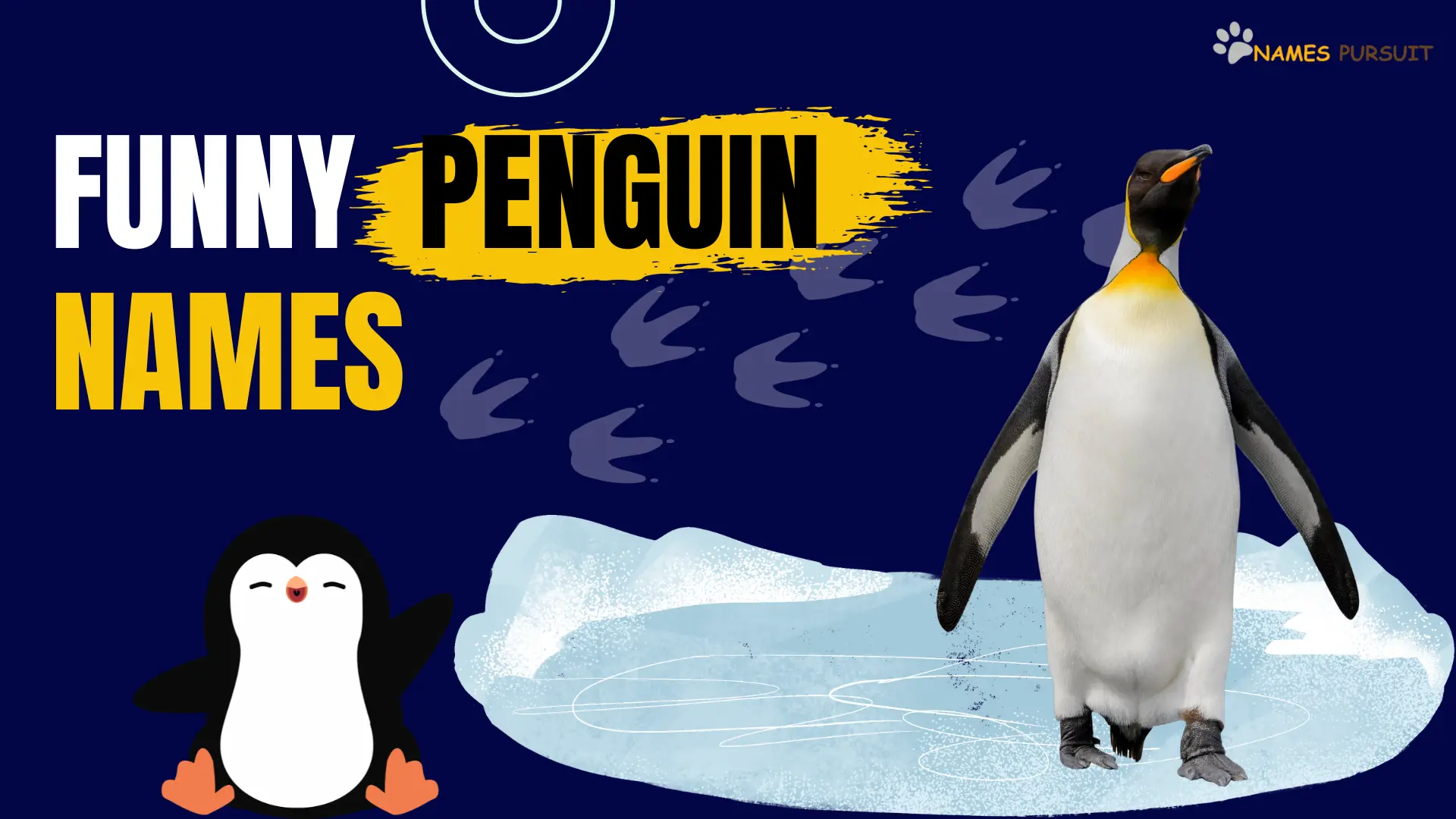 Funny Penguin Names -names pursuit