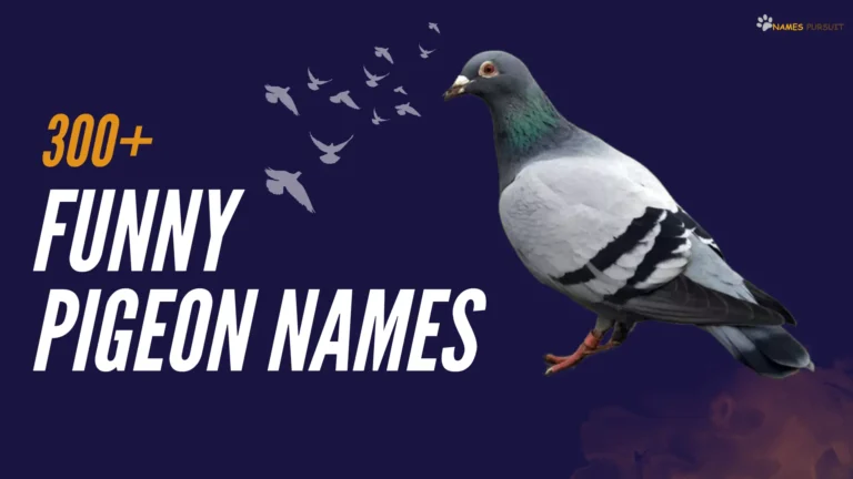 330+ Quirky & Funny Pigeon Names [Ideas for 2024!]
