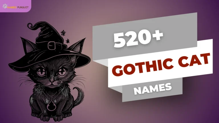 520+ Gothic Cat Names (Mystical & Witchy Choices)
