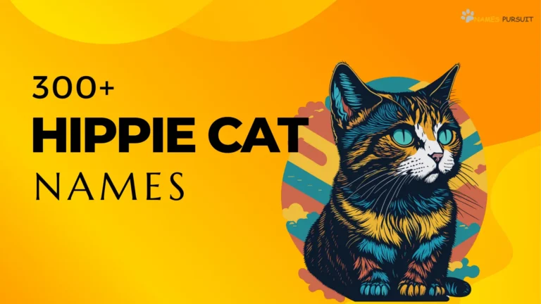 Hippie Cat Names [300+ Classic Ideas]
