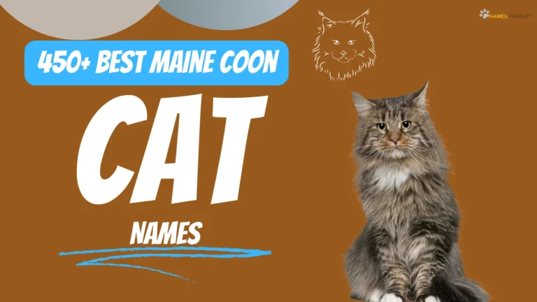 450+ Maine Coon Cat Names [Unique & Cool Ideas]