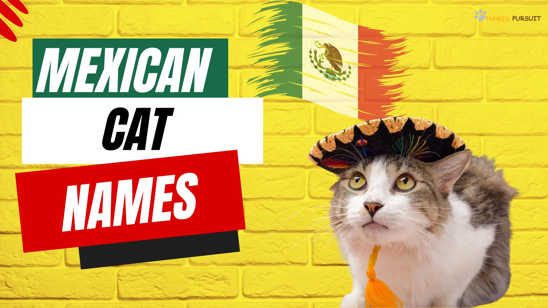 Mexican Cat Names