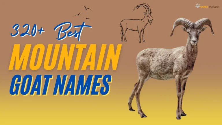 380+ Best Mountain Goat Names [Creative Ideas]