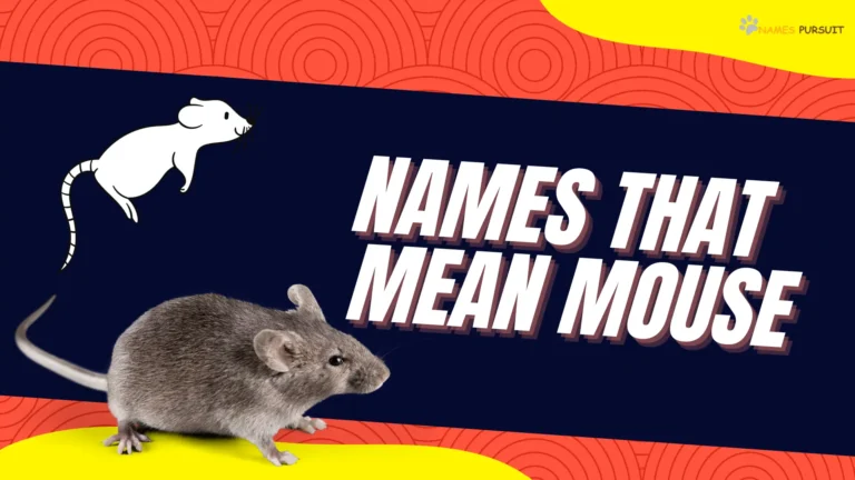 230+ Names That Mean Mouse – Creative Naming Guide
