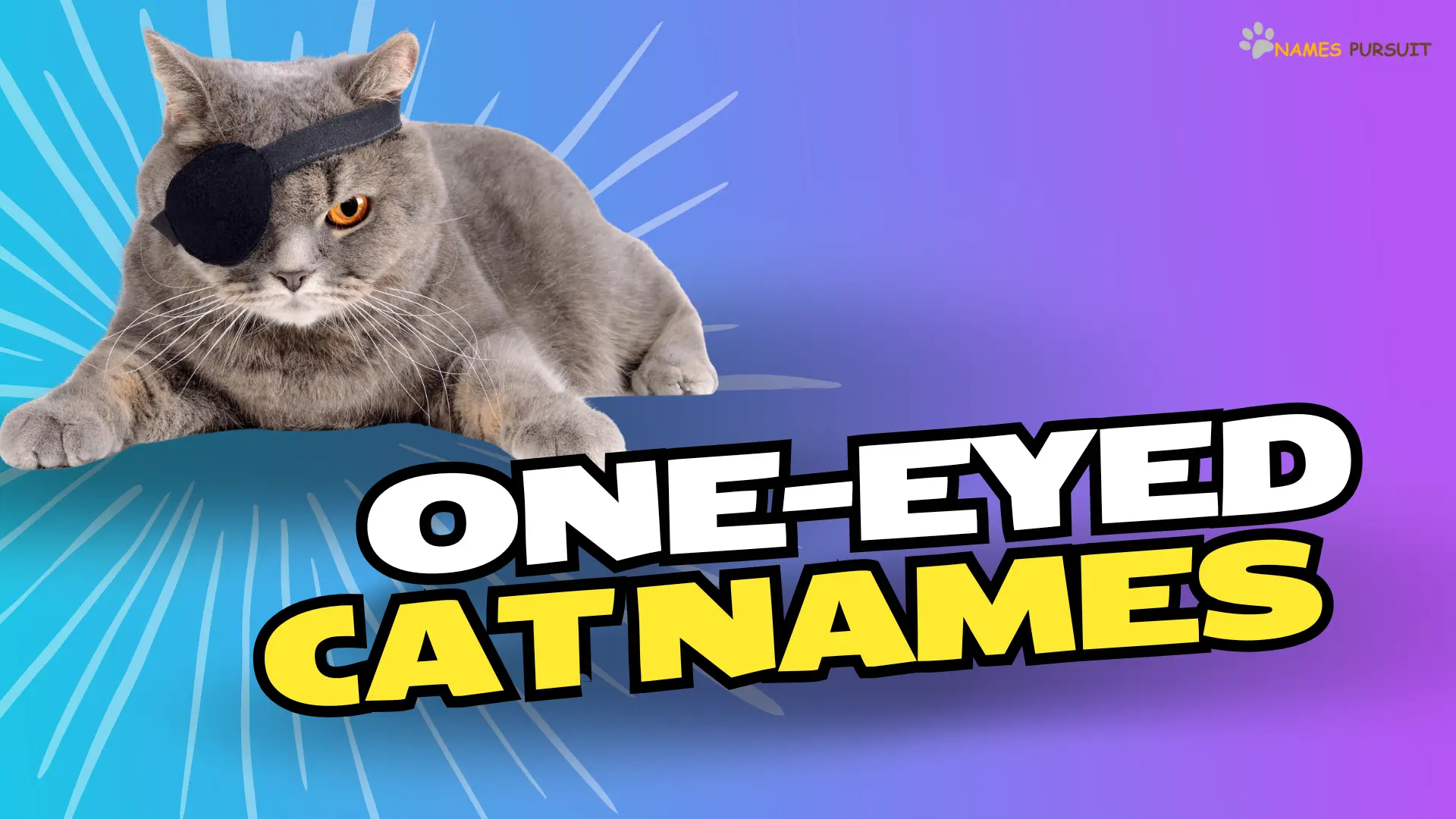 One-Eyed Cat Names