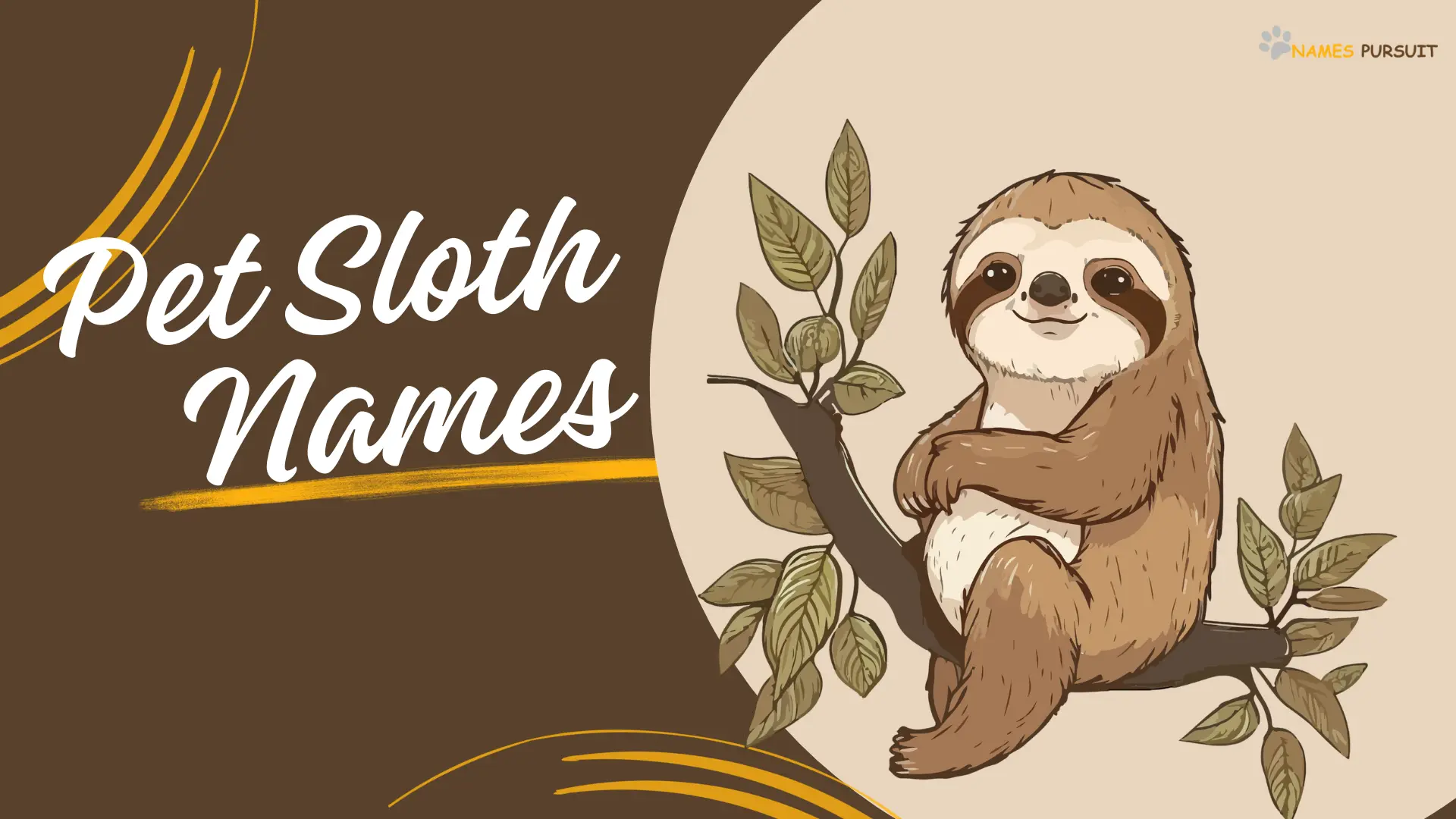 Pet Sloth Names