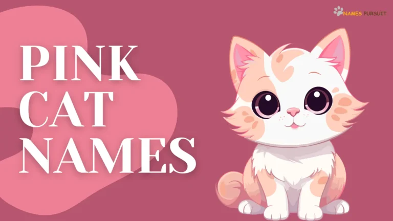375+ Pink Cat Names [Cute, Funny, & Creative]