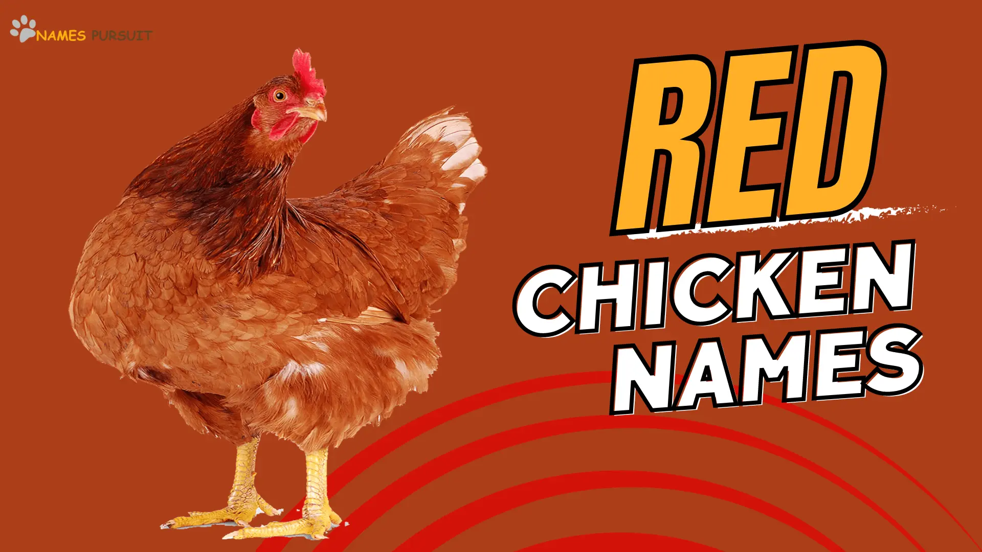 Red Chicken Names
