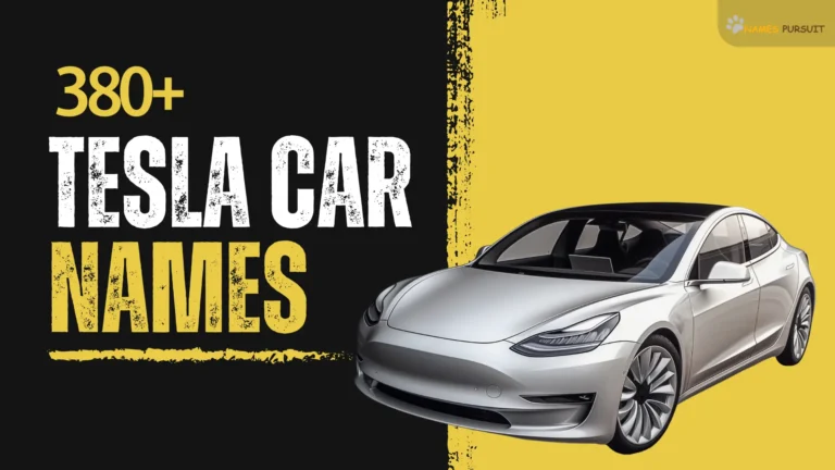 380+ Tesla Car Names [Cool & Creative Ideas]